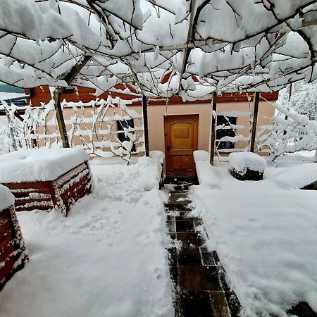 Trebnje Vineyard Cottage Matej מראה חיצוני תמונה