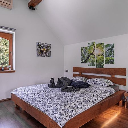 Trebnje Vineyard Cottage Matej מראה חיצוני תמונה