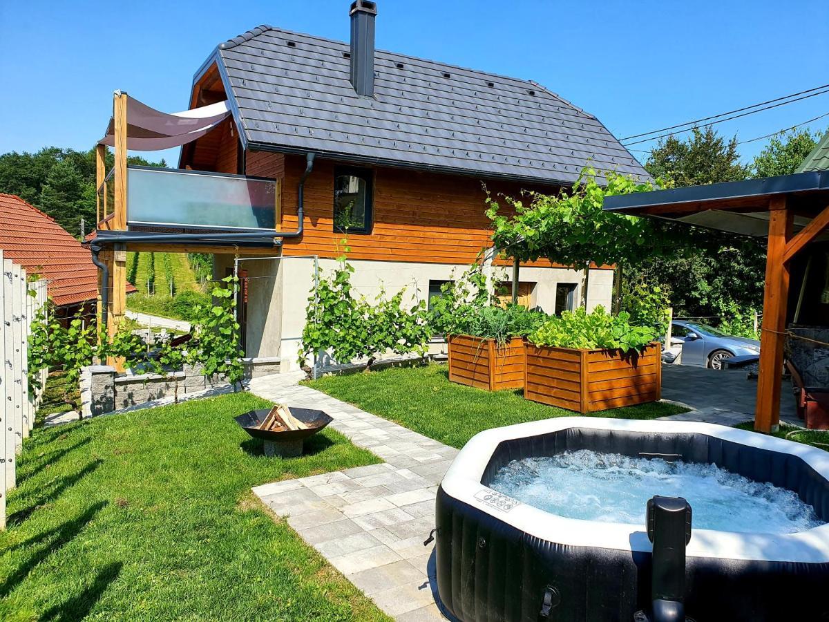 Trebnje Vineyard Cottage Matej מראה חיצוני תמונה