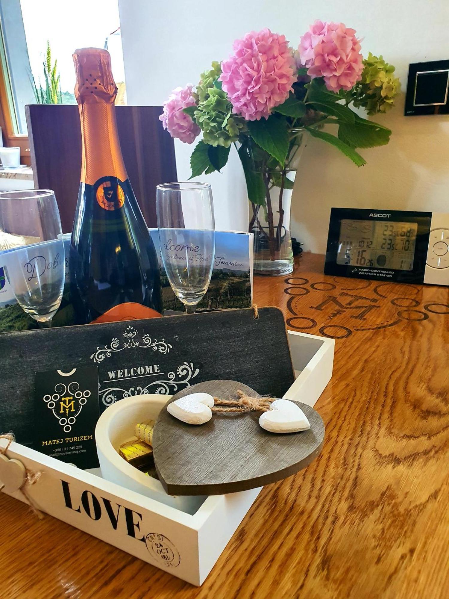Trebnje Vineyard Cottage Matej מראה חיצוני תמונה