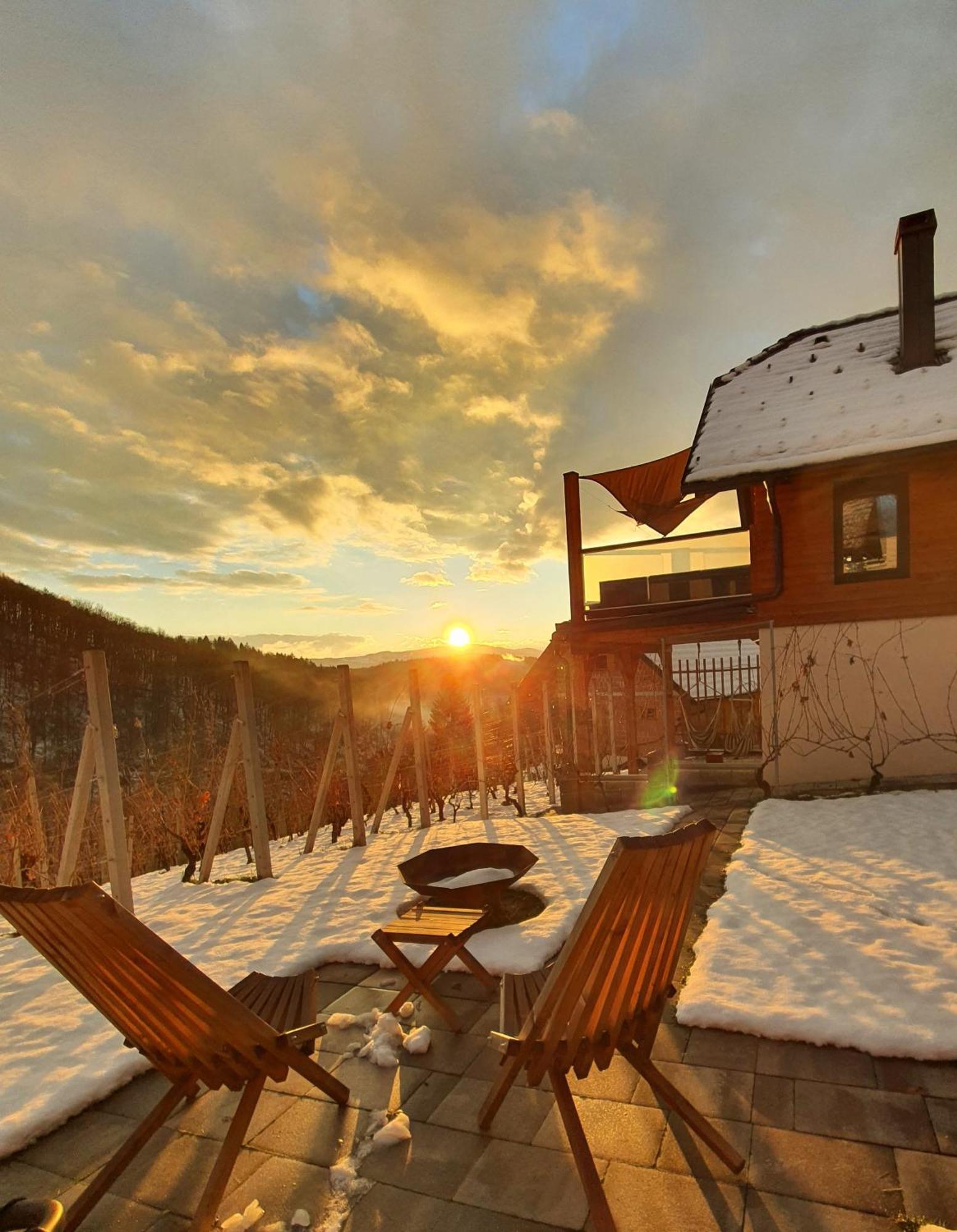 Trebnje Vineyard Cottage Matej מראה חיצוני תמונה