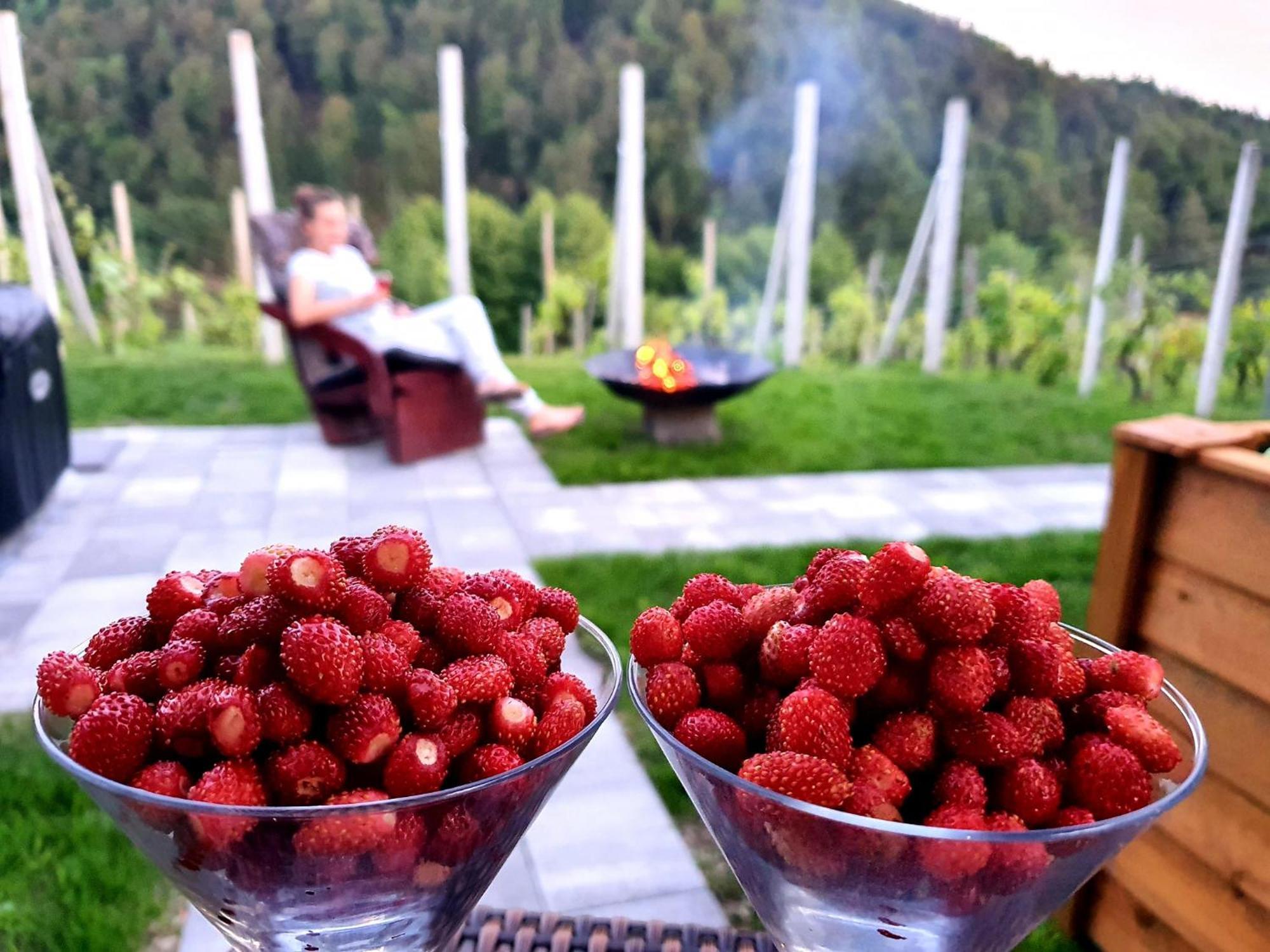 Trebnje Vineyard Cottage Matej מראה חיצוני תמונה