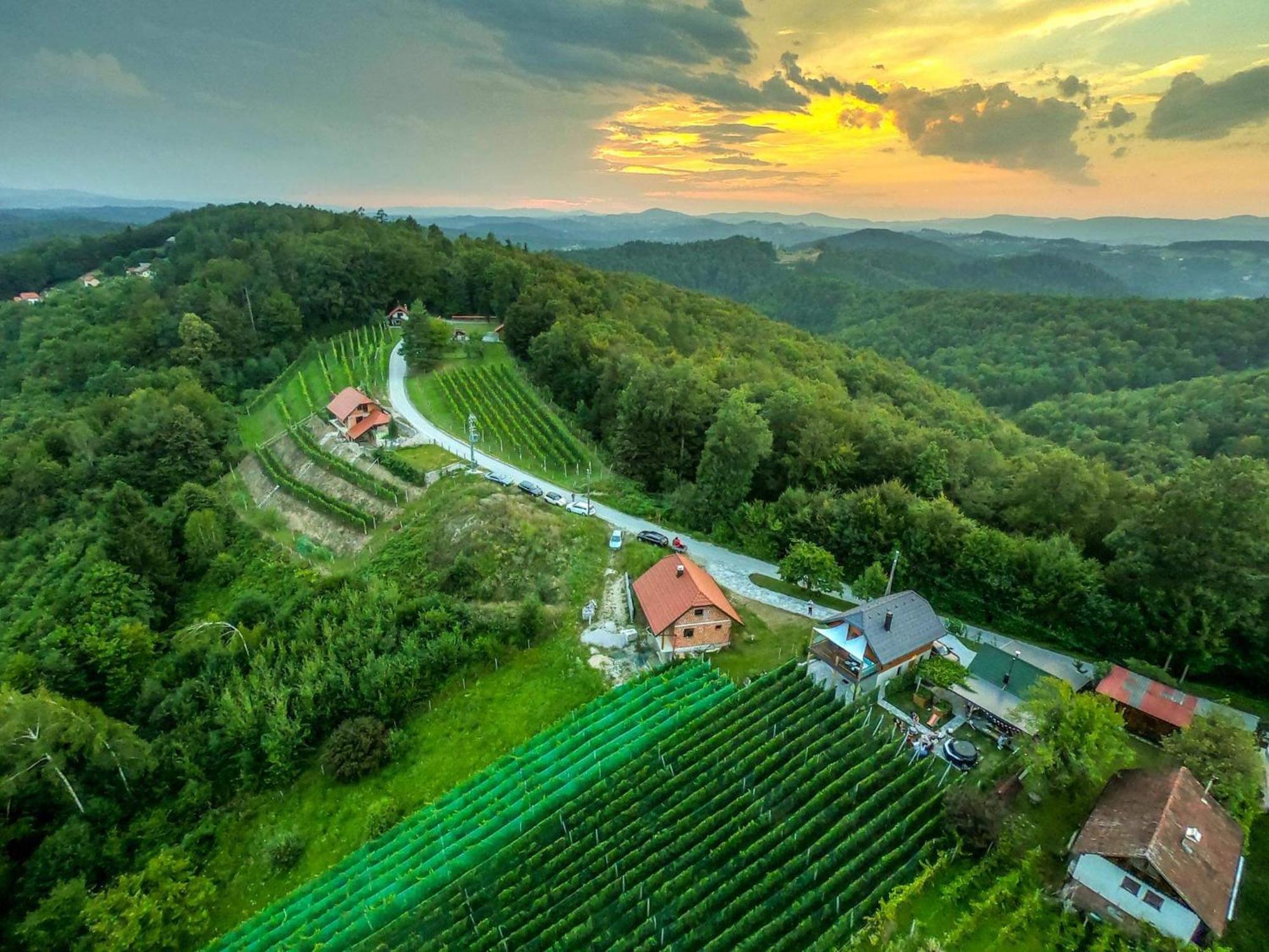 Trebnje Vineyard Cottage Matej מראה חיצוני תמונה