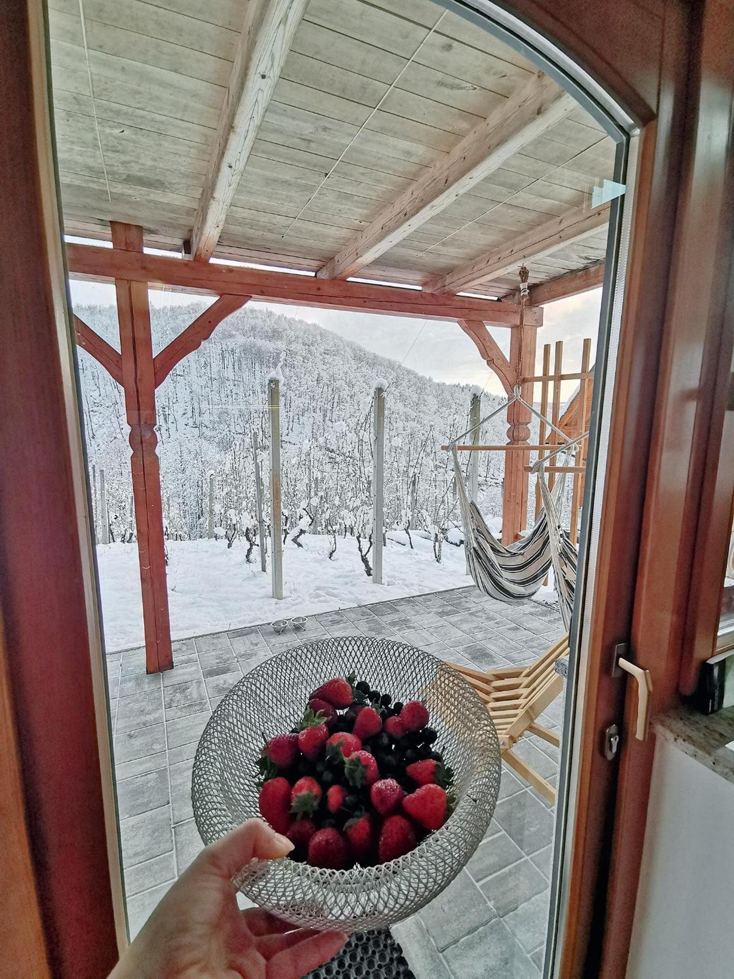Trebnje Vineyard Cottage Matej מראה חיצוני תמונה