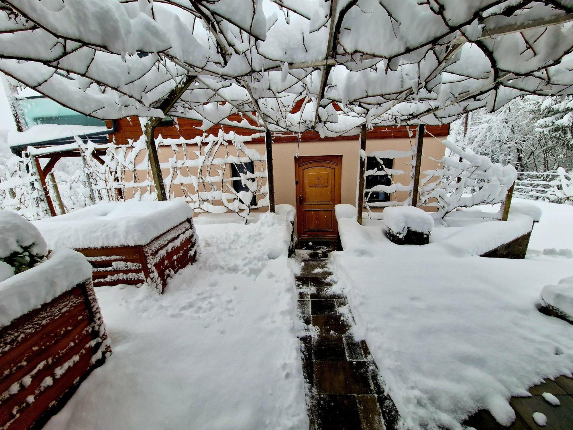 Trebnje Vineyard Cottage Matej מראה חיצוני תמונה
