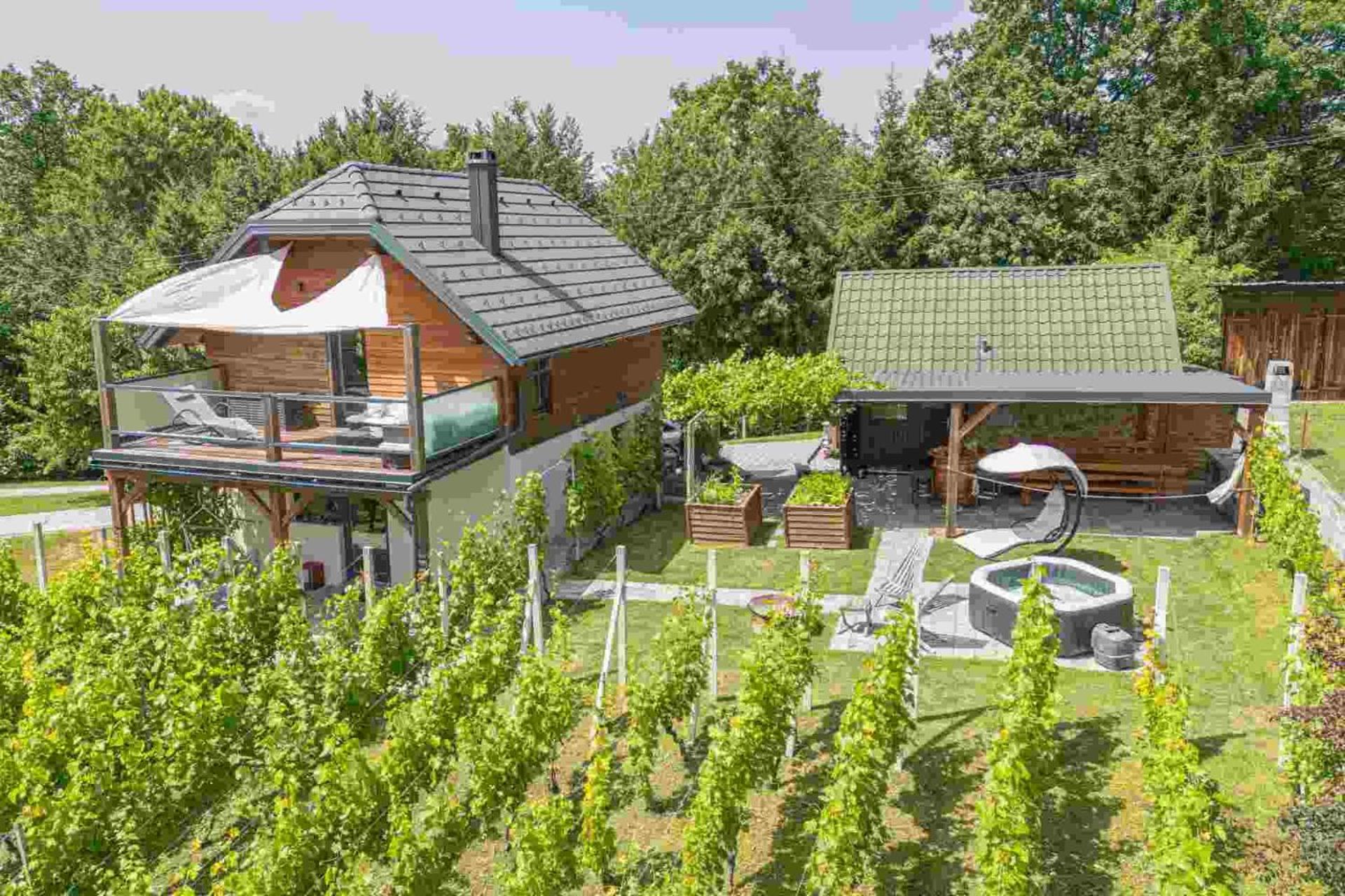 Trebnje Vineyard Cottage Matej מראה חיצוני תמונה